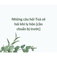 Những câu hỏi Toà sẽ hỏi khi ly hôn cần chuẩn bị trước